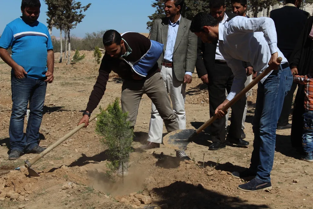 AL-Jarniya town recovers its green color