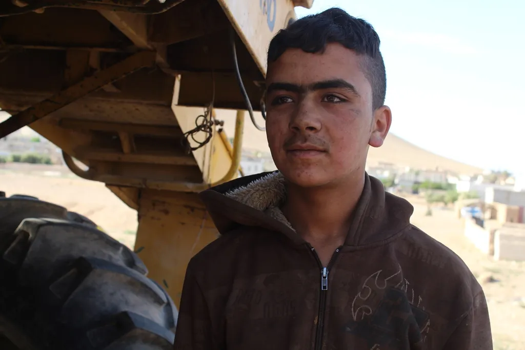 Harvesting grains' in al-Tabqa is imminent amid fears of poor production, quality