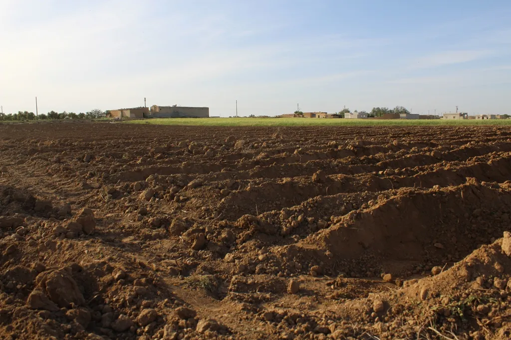 Al-Tabqa farmers worried about their summer crops due to restrain Euphrates water