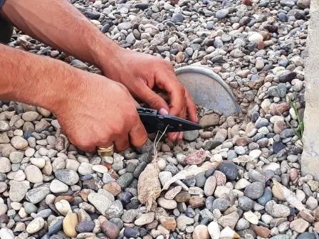 Mines clearance teams … save hundreds of inevitable death
