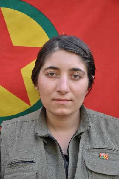 (HPG ) reveals record 3 of its fighters