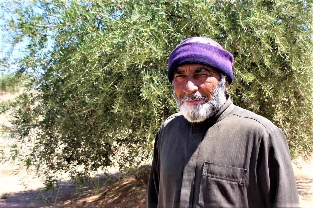 One Kurd’s trip from Kirkuk to al-Tabqa