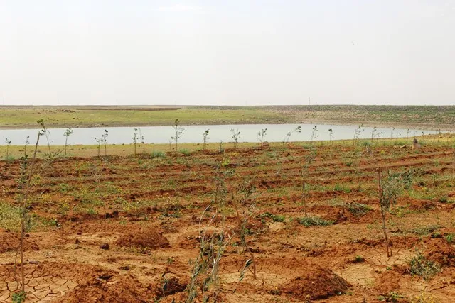 Steps towards the development of al-Jazeea 's ecosystem