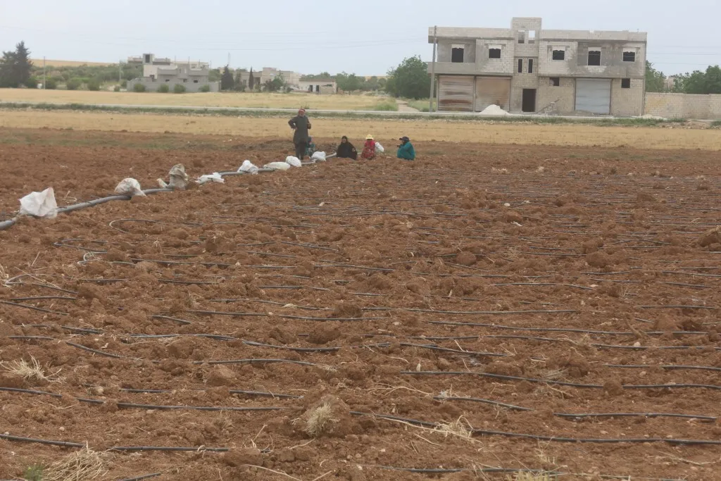 Lack of rainfall prevented agricultural growth, increased farmers' suffering