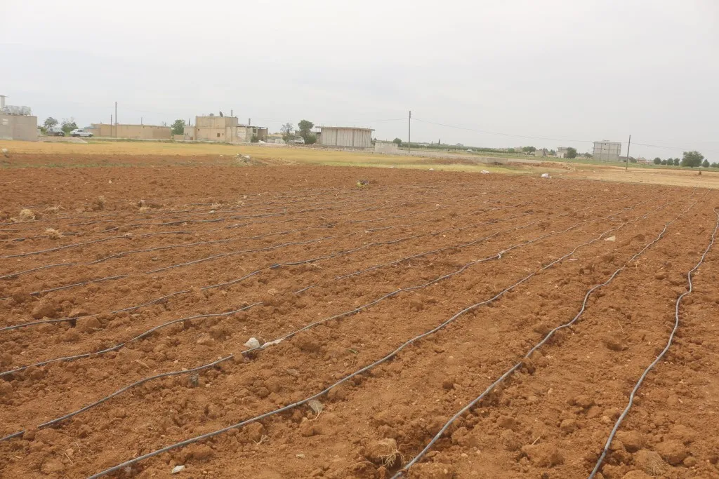 Lack of rainfall prevented agricultural growth, increased farmers' suffering