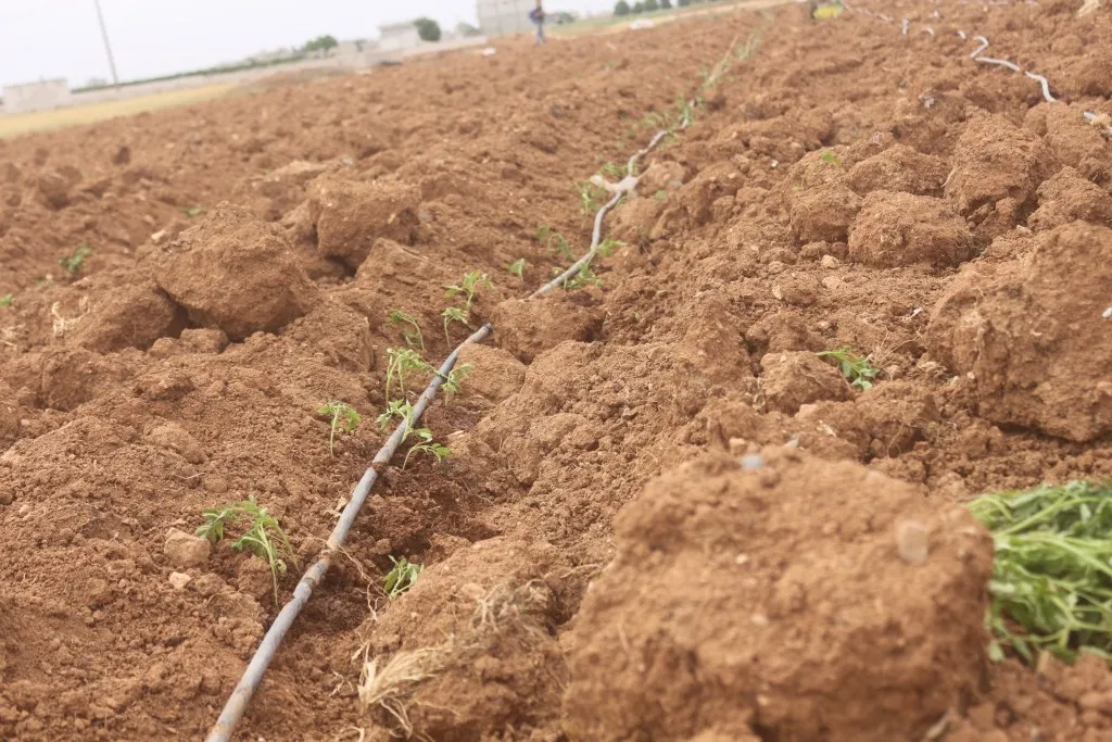 Lack of rainfall prevented agricultural growth, increased farmers' suffering