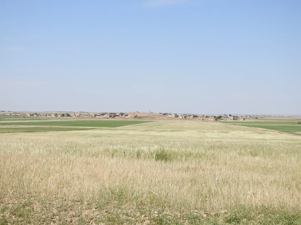 Lack of rainfall prevented agricultural growth, increased farmers' suffering