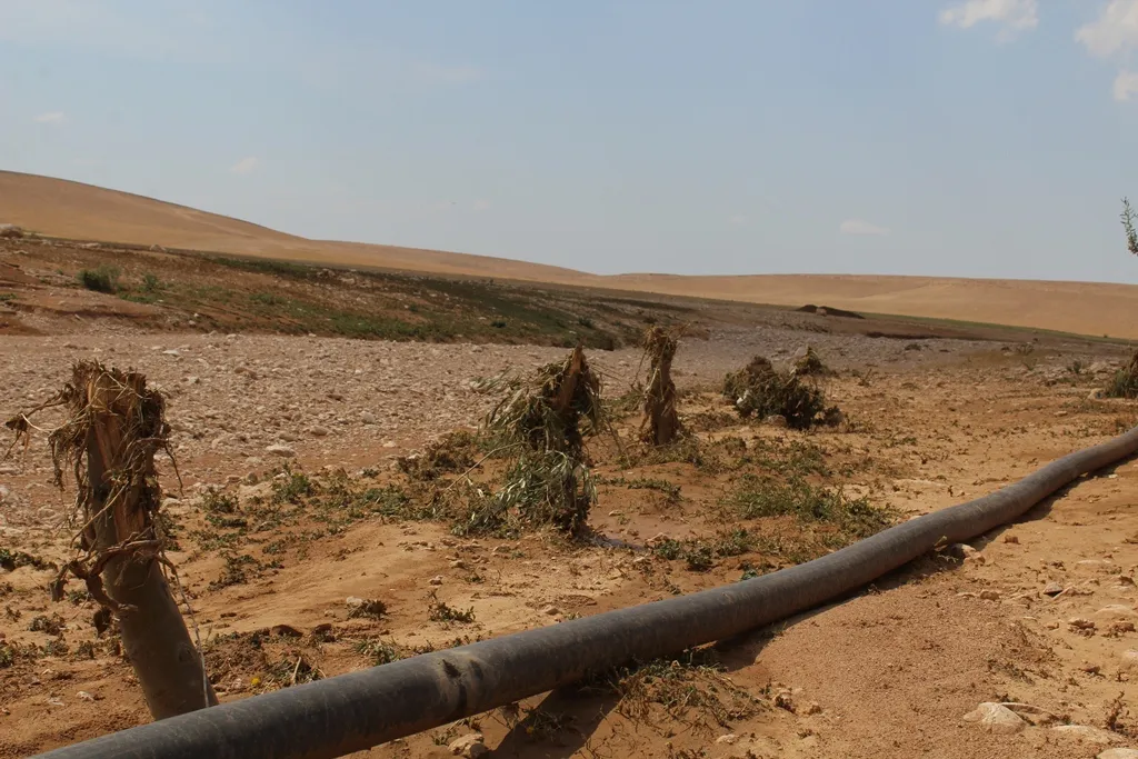 Torrents in al-Jarniah kill citizens, destroy homes, agricultural fields