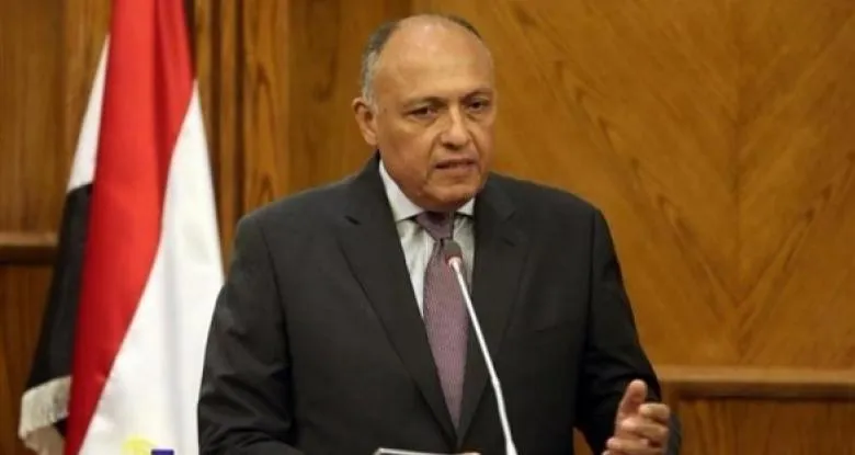 Egyptian Foreign Minister: sending Arabic troops to Syria is possible