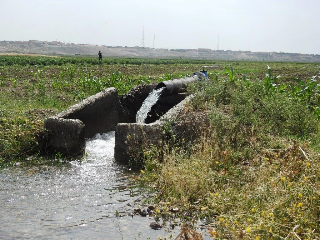Supplying half al-Karama cultivated area with water