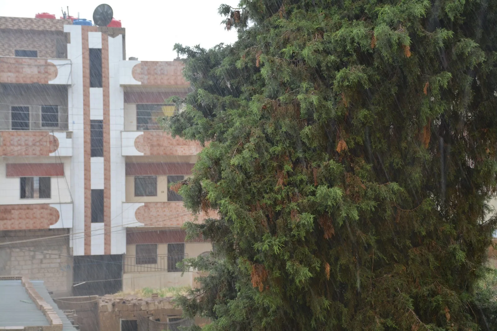 Videoed ... Heavy rains in Qamişlo