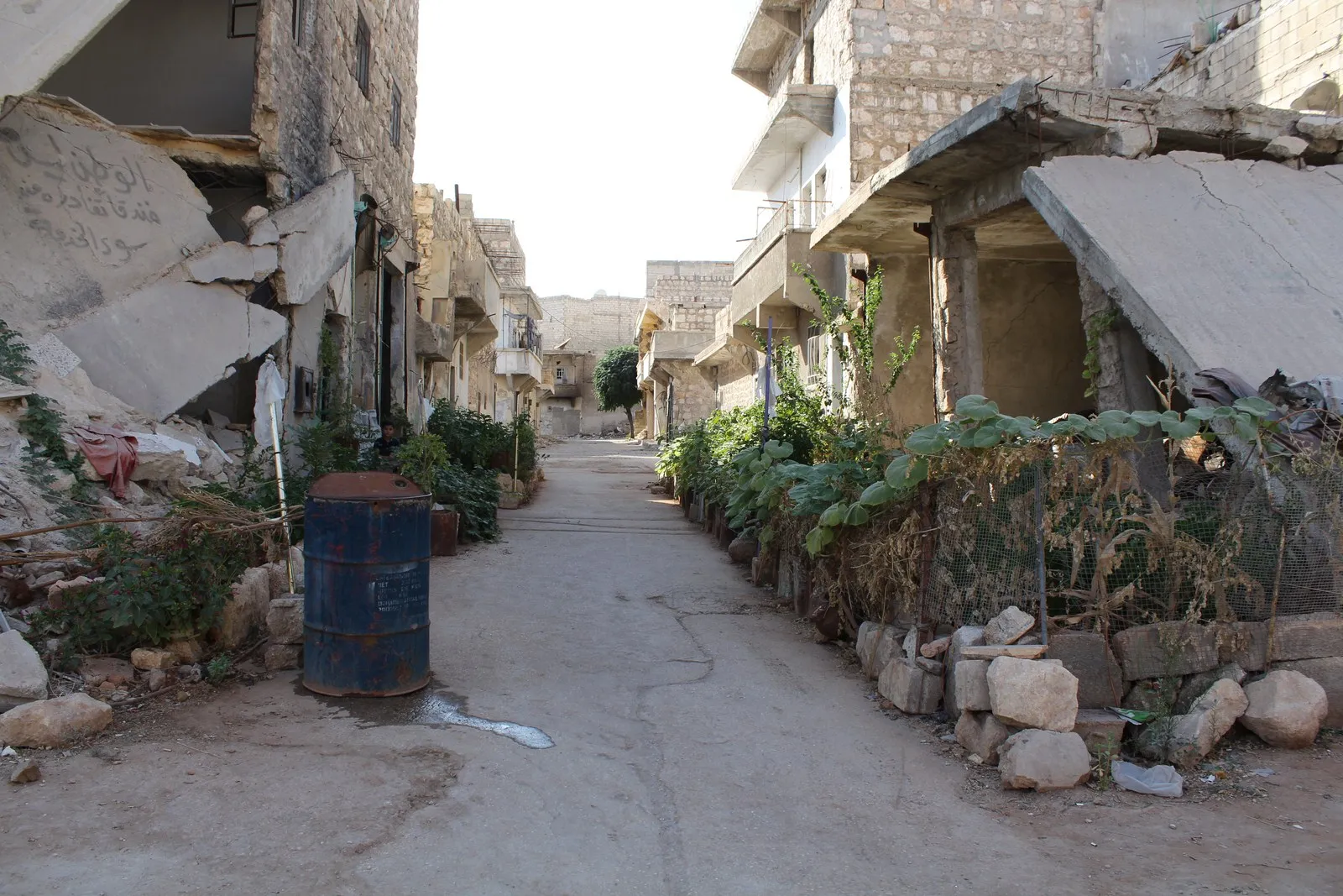 Among destroyed streets’ corners, he planted a nursery