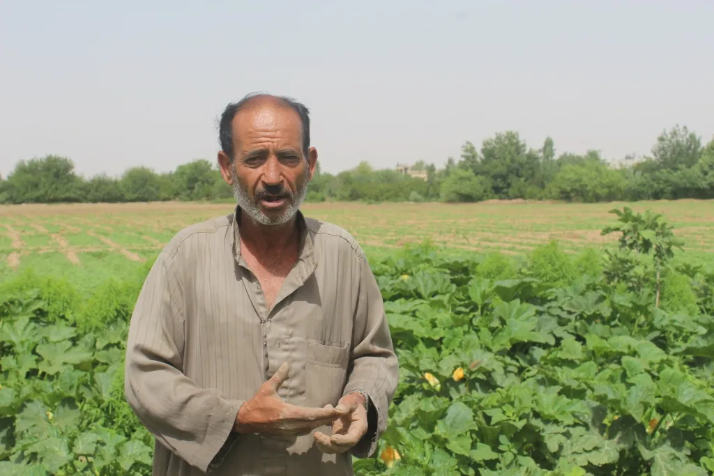 Manbij farmers talk about damage in winter, summer crops
