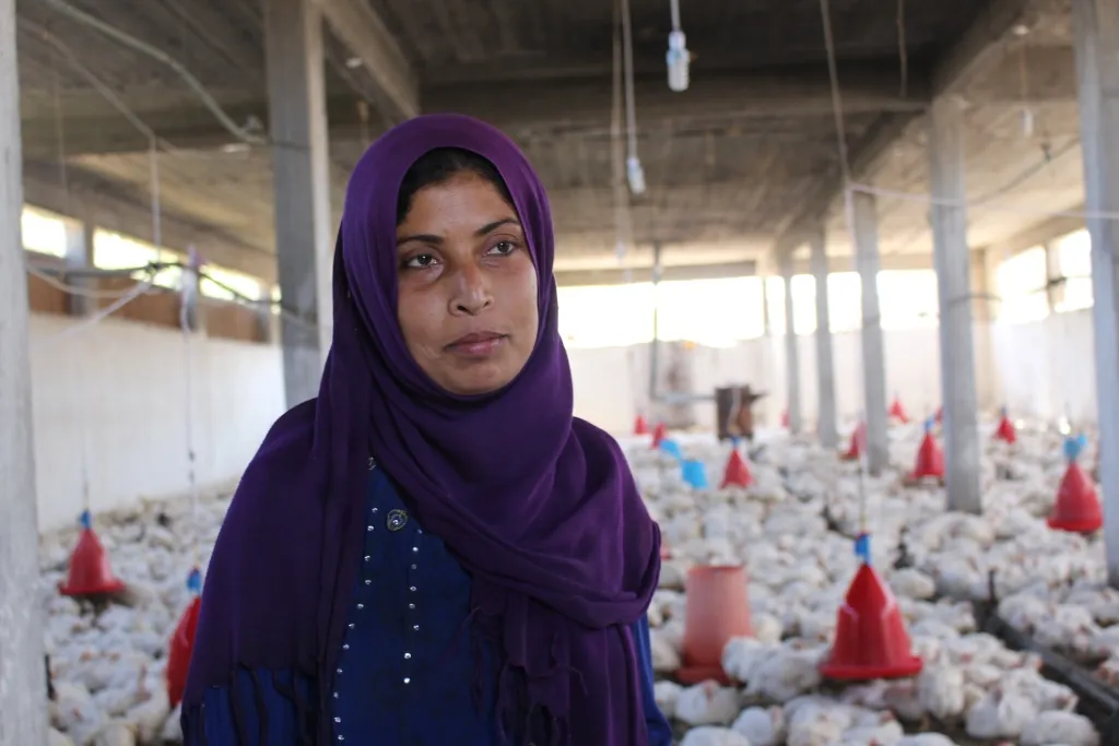 Manbij woman develops her own economy