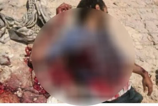 Wrath of Olive :Two mercenaries killed , vehical destroyd