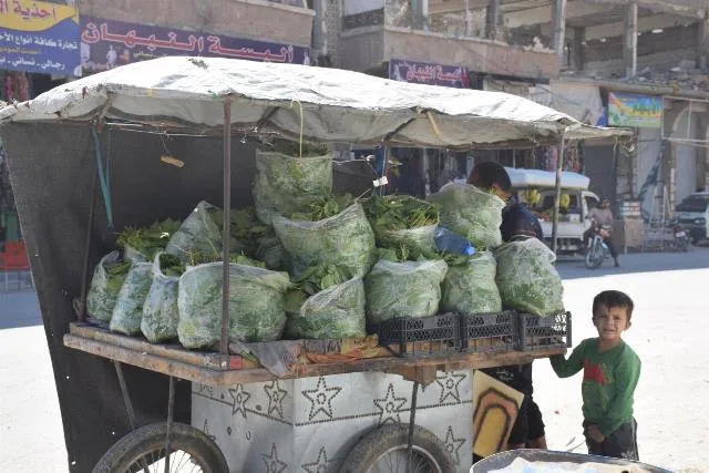 Al-Raqqa considerably prosperous, thousands of families return to it