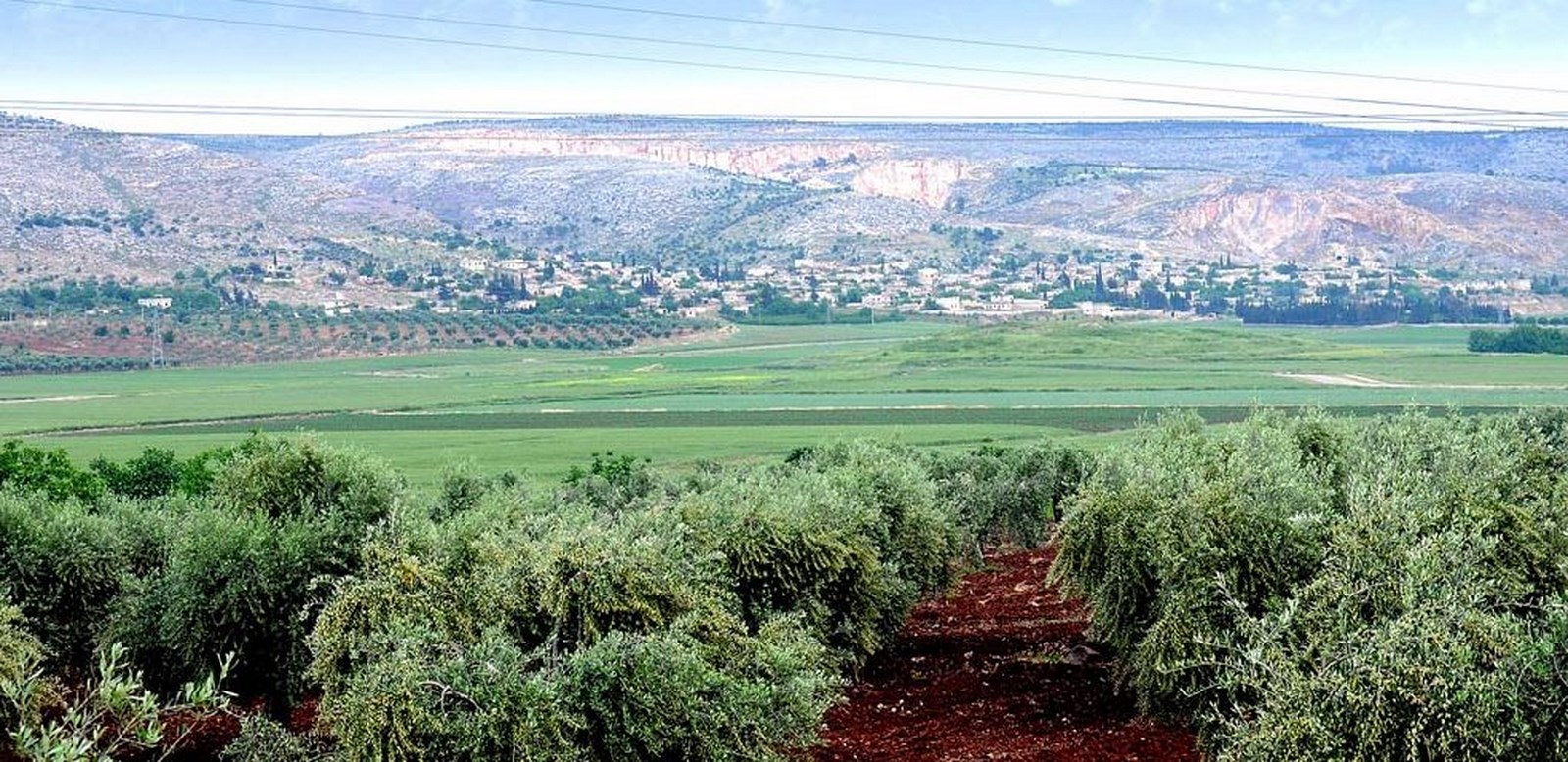 Turkish mercenaries cuffed women , stole their jewelry