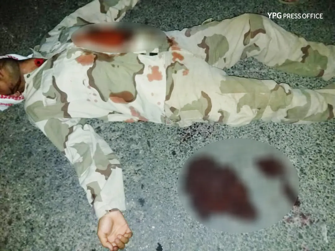 2 mercenaries killed in Afrin