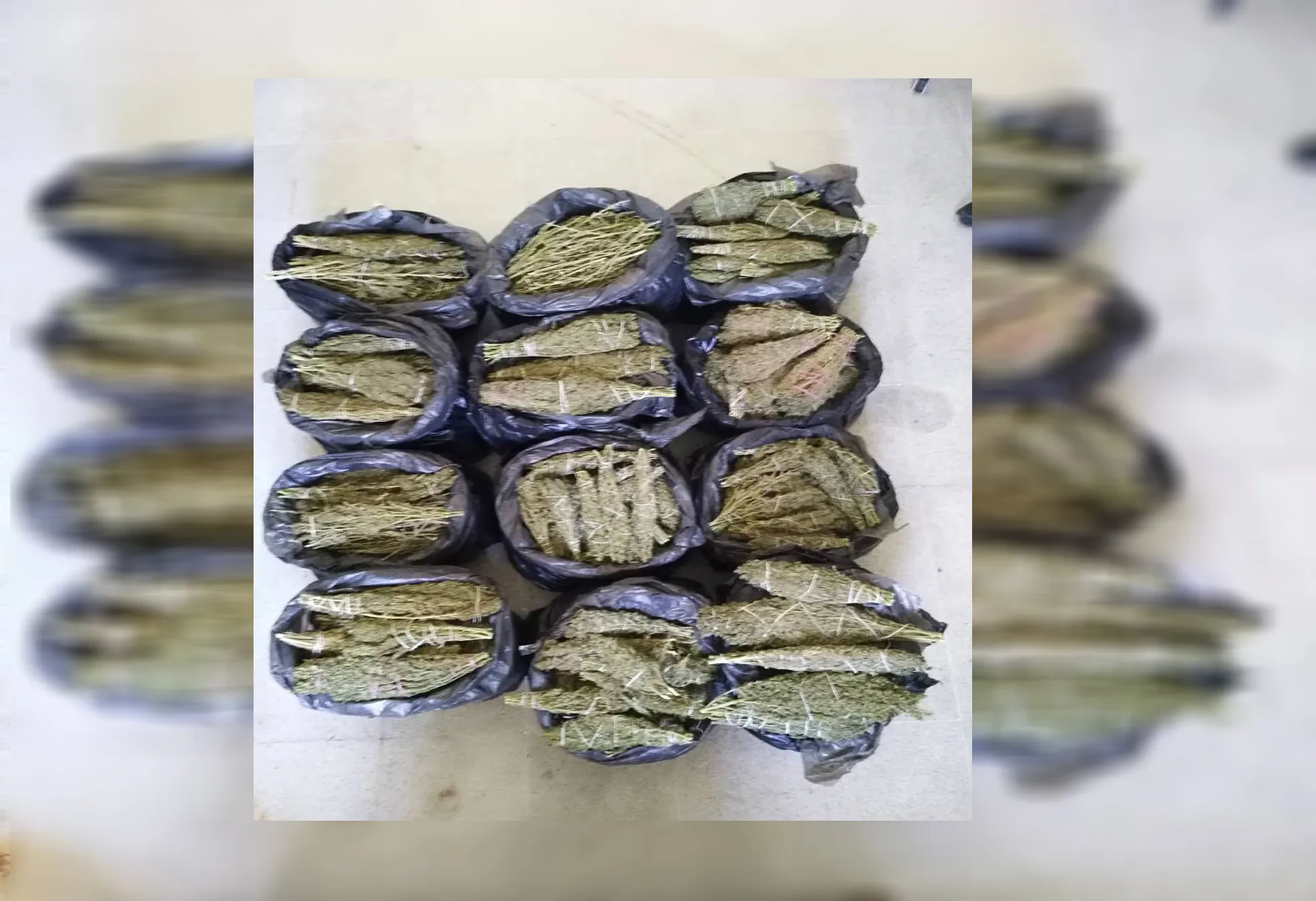 Crime Control Office seized 80 kg of hashish in Tal Tamer