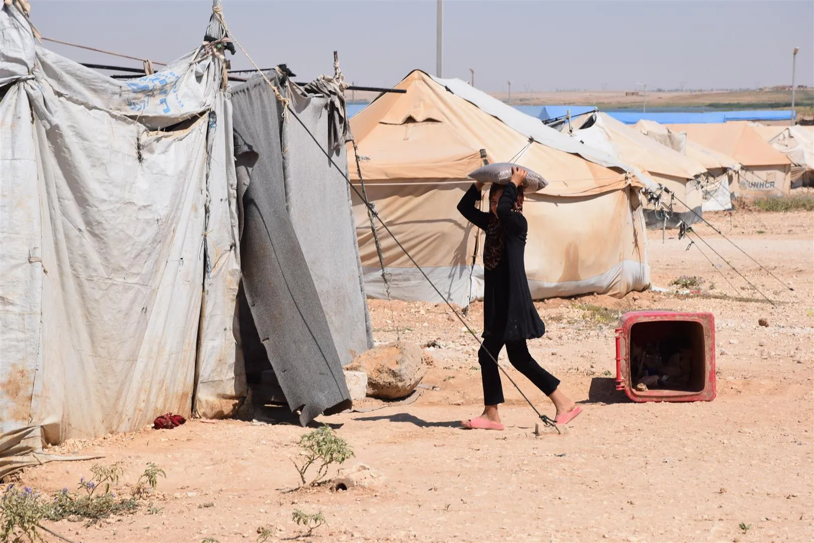 Part of al-Arishah camp suffering accompanied with photos , videos