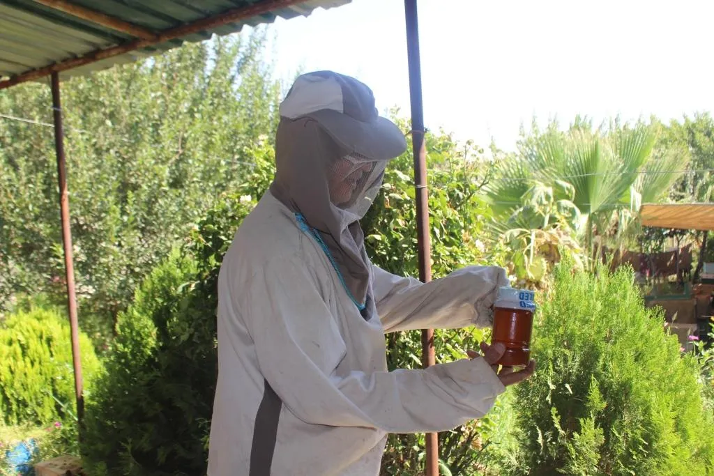 Patients are treated with bee stings in Qamishlo