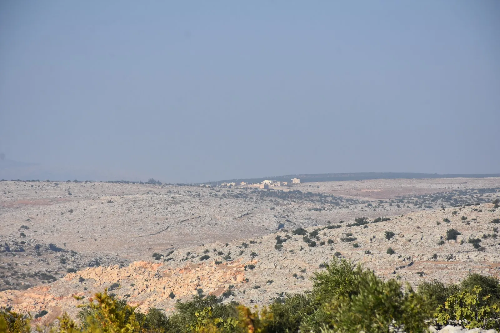Turkey deprives Afrin residents of their most important sources of livelihood