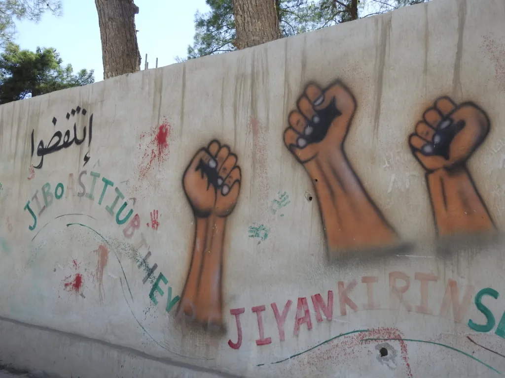 Youth of Girê Spî: We will still resist, revolt until liberating our leader