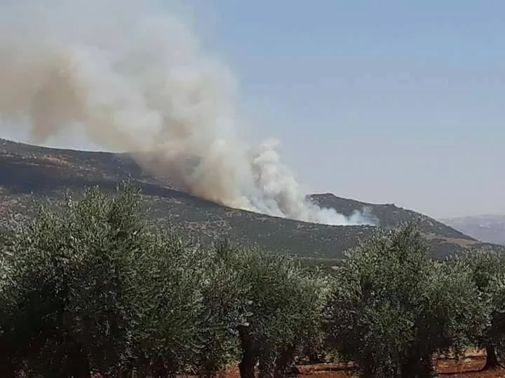 In Afrin, Turkish occupation, its mercenaries’ mask disappeared -4