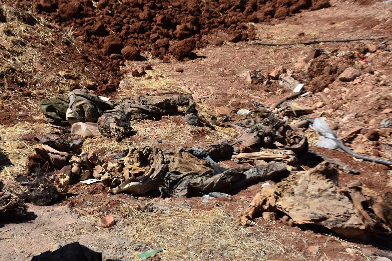 Mass grave was found in al-Shahba for Free Army's mercenaries