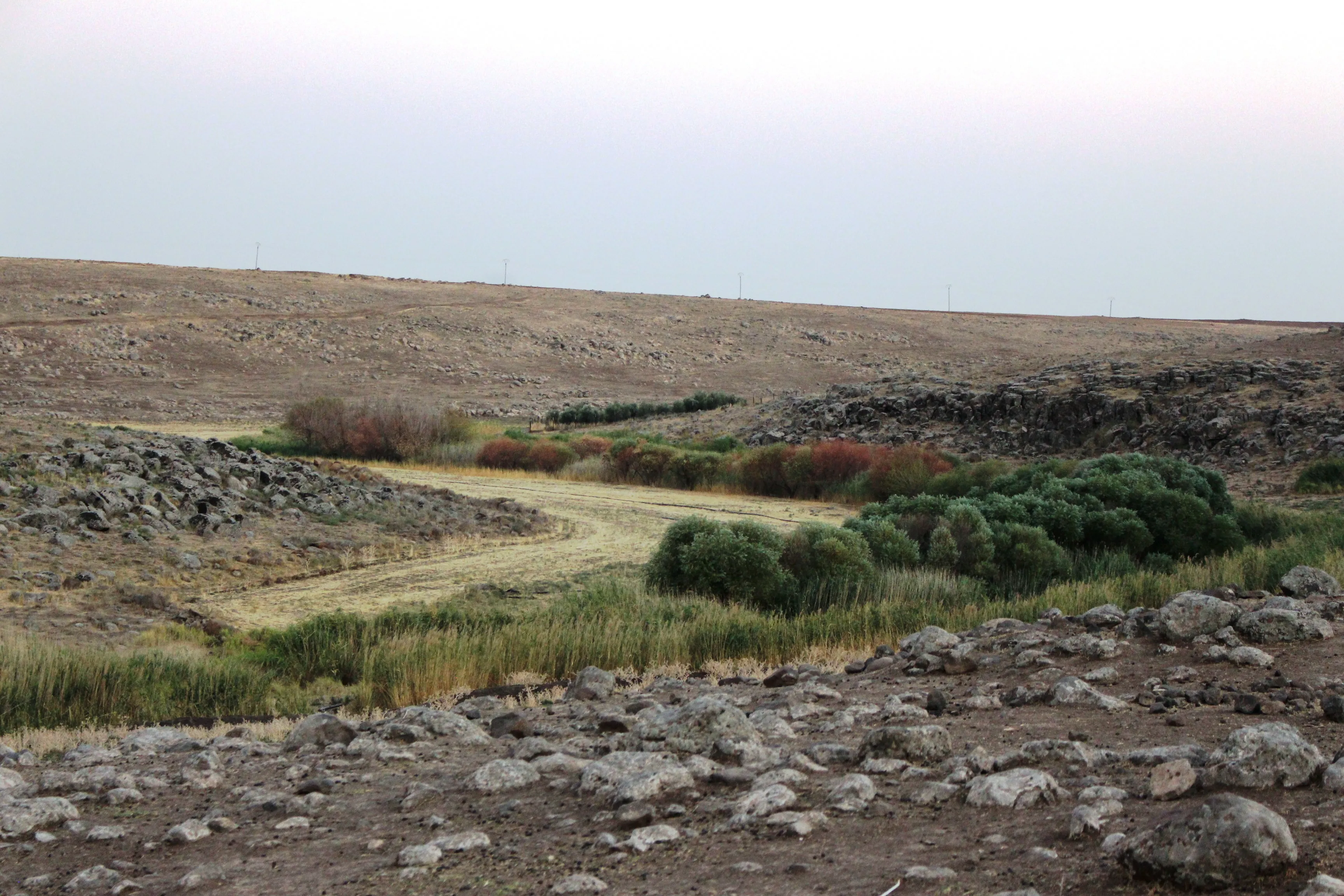 Cireh .... from greener area to barren area due to Turkey 's policies