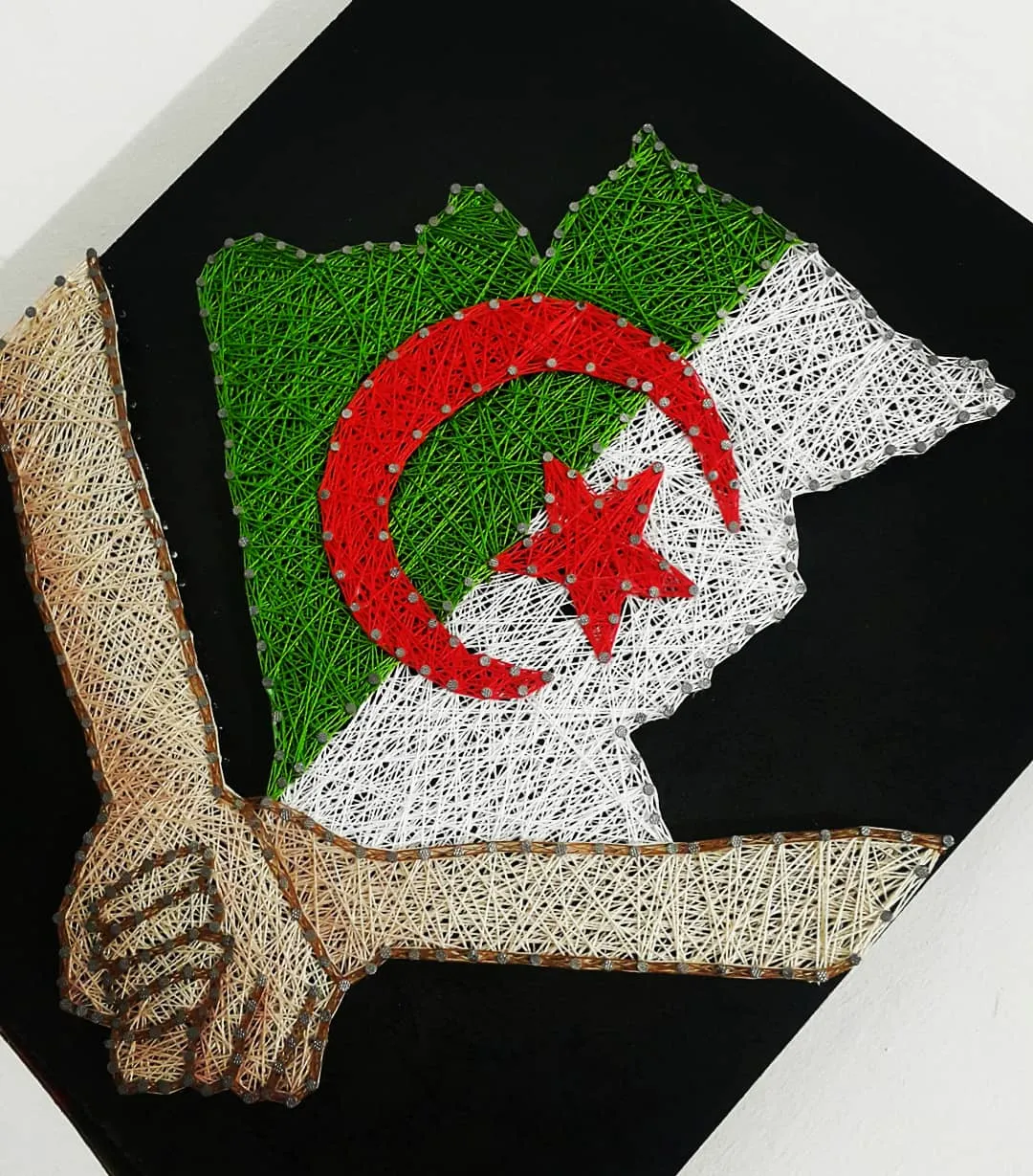 Sahar Weshah… artist of paintings with hammer, nails