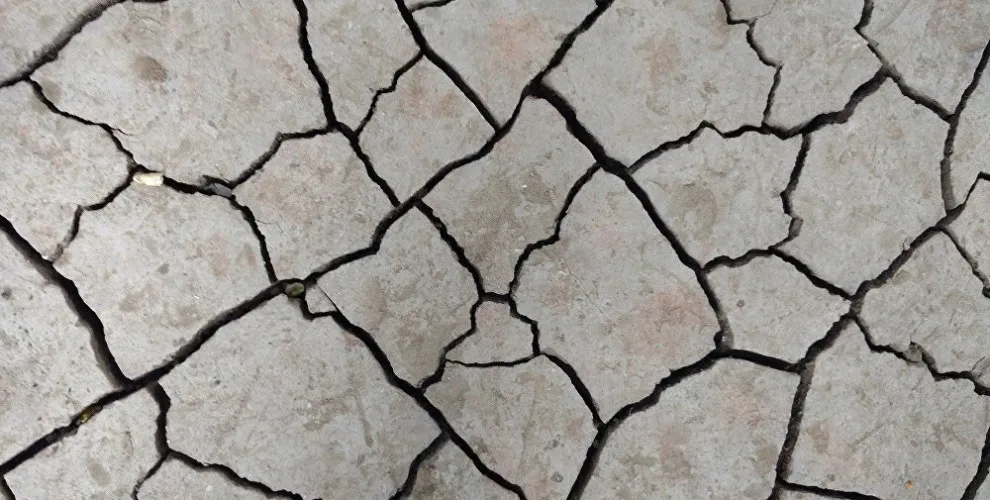 Earthquake in East Kurdistan
