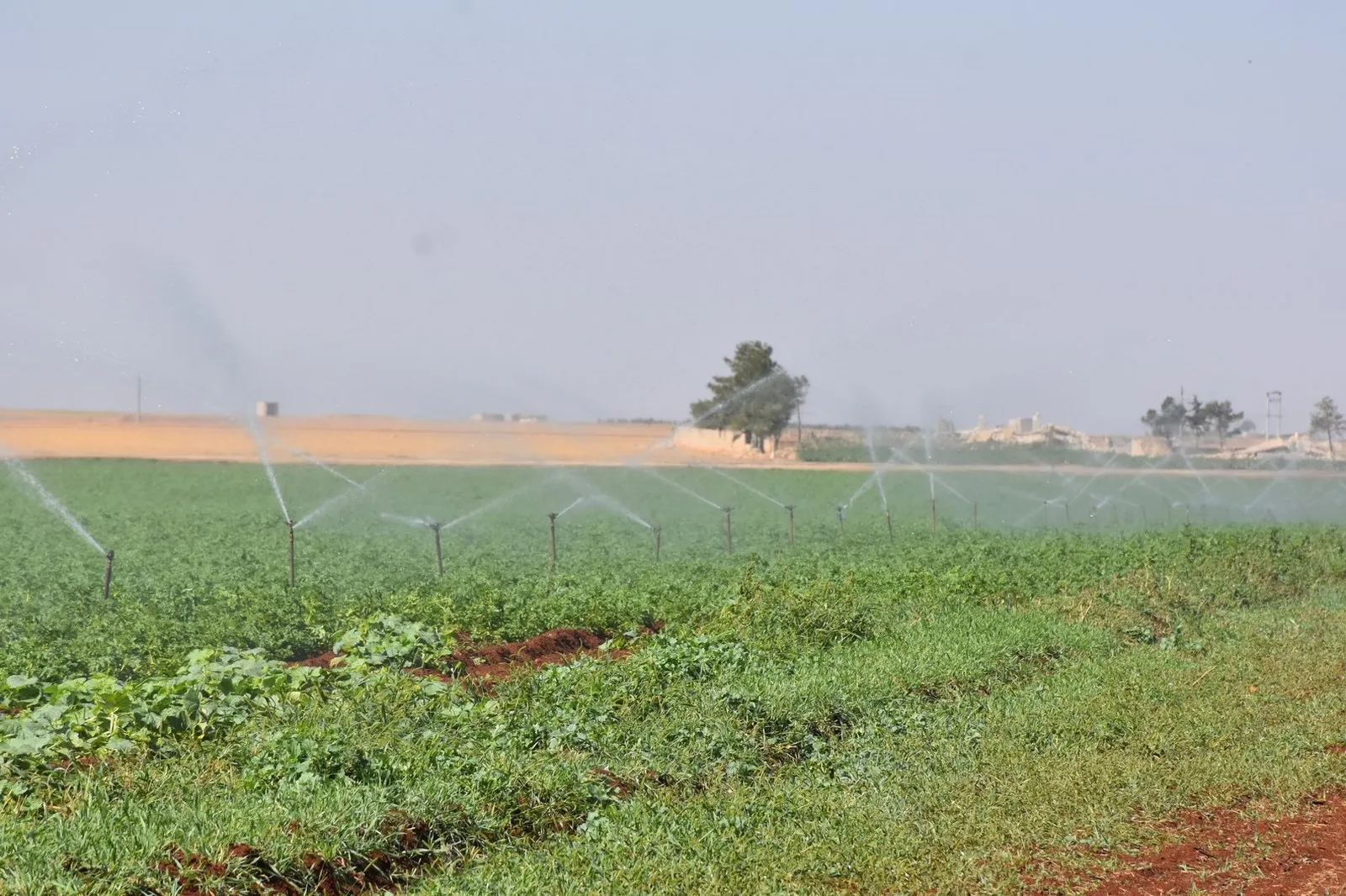 Agriculture Committee seeks to solve farmers' problems, achieve good production