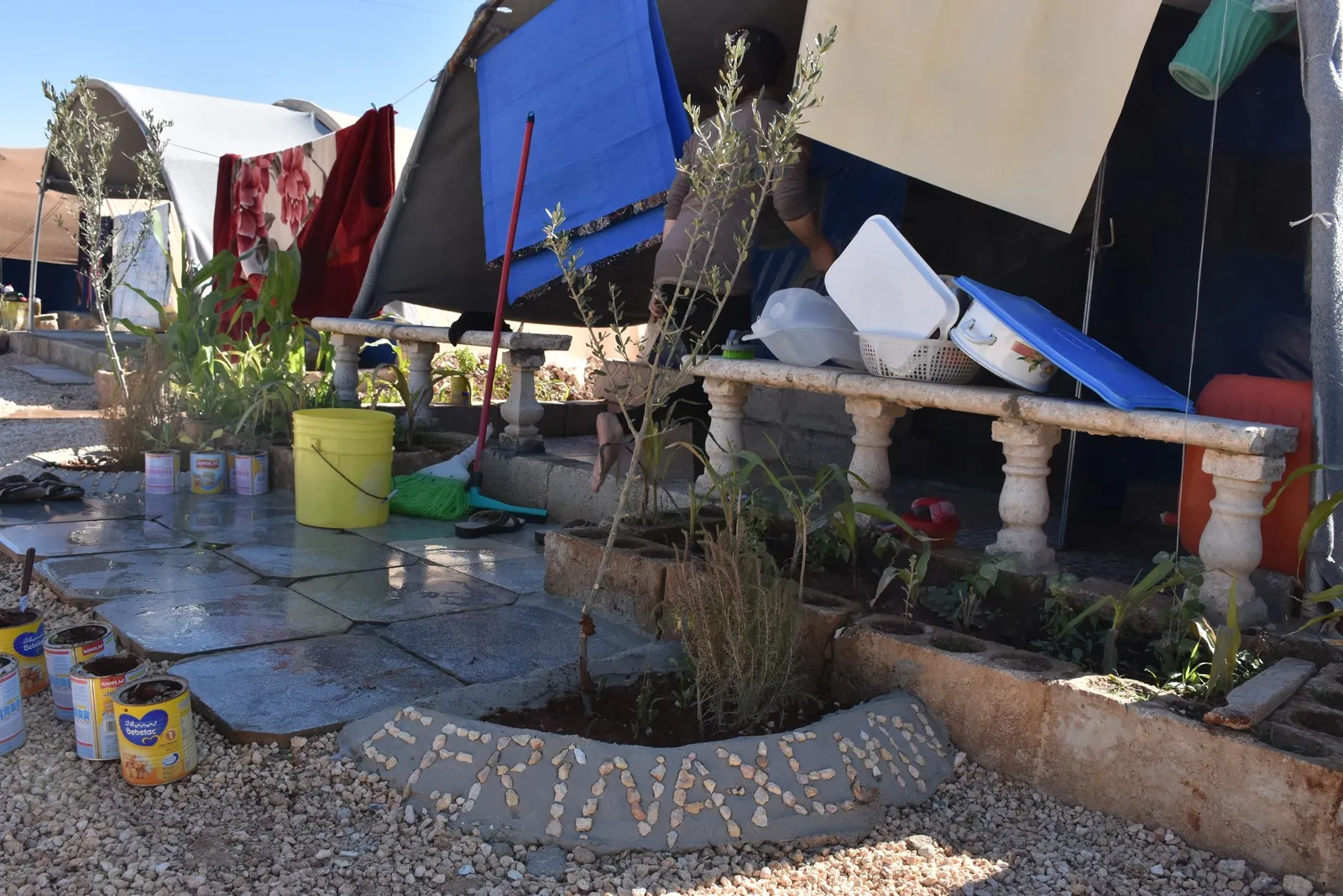 Videoed ... Express resistance with olives, gravel