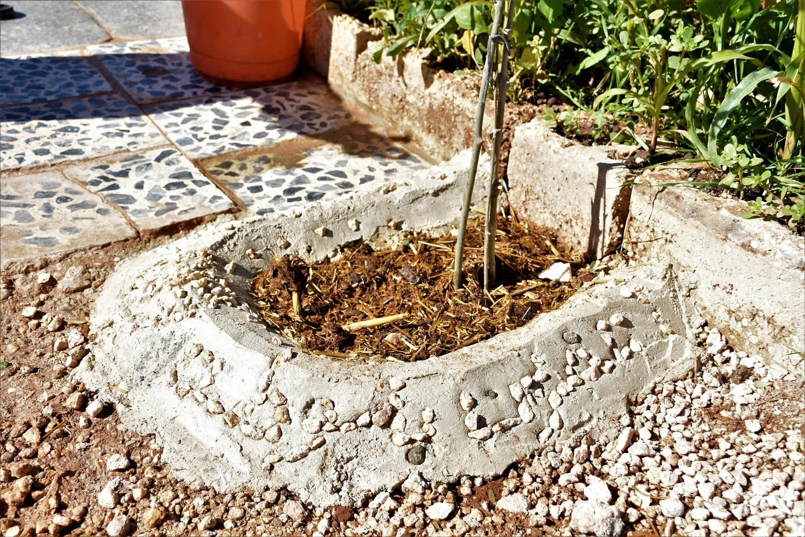 Videoed ... Express resistance with olives, gravel