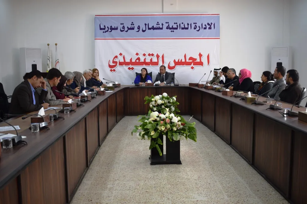Executive Council considers educational reality in area with relevant committees