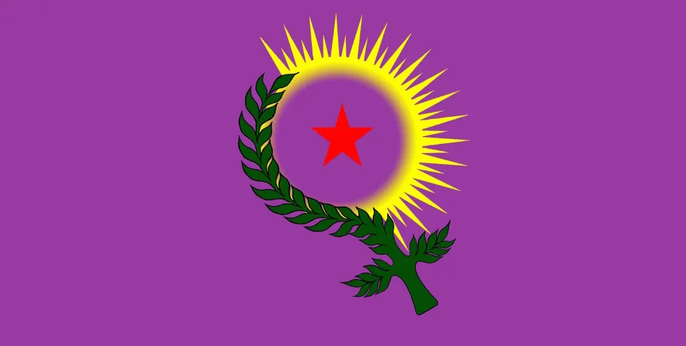 Kurdistan Women System published report regarding violence against women