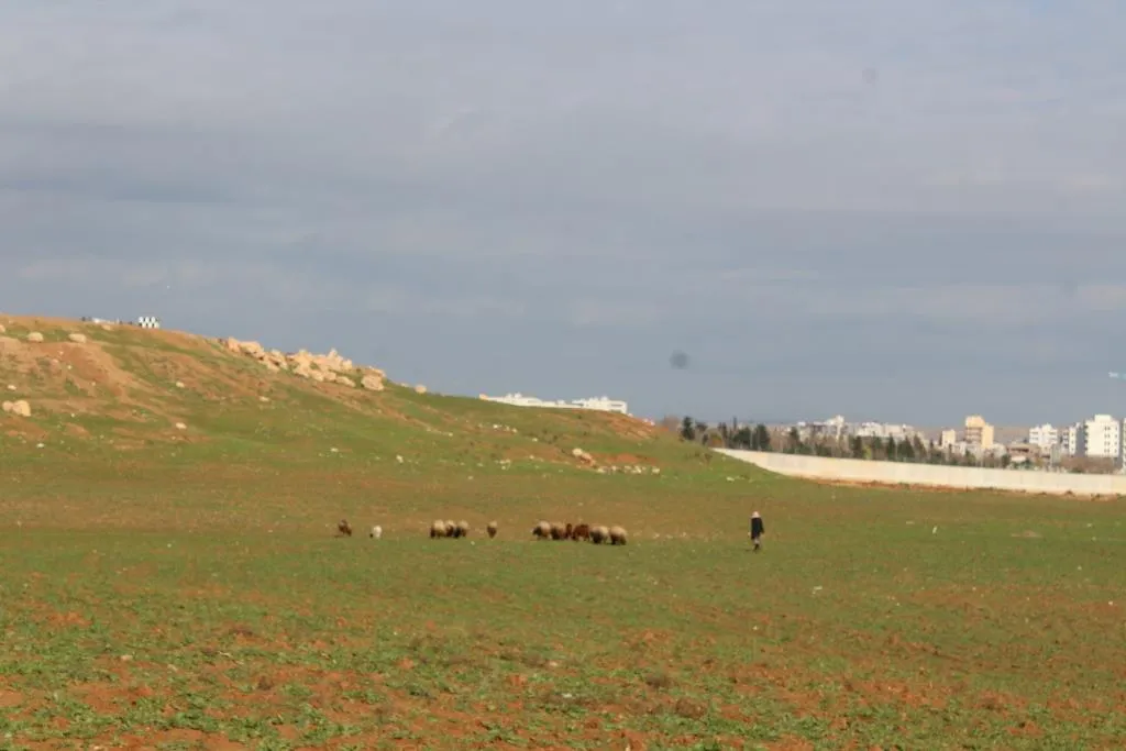 'Turkish soldiers shoot to enforce civilians to displace'