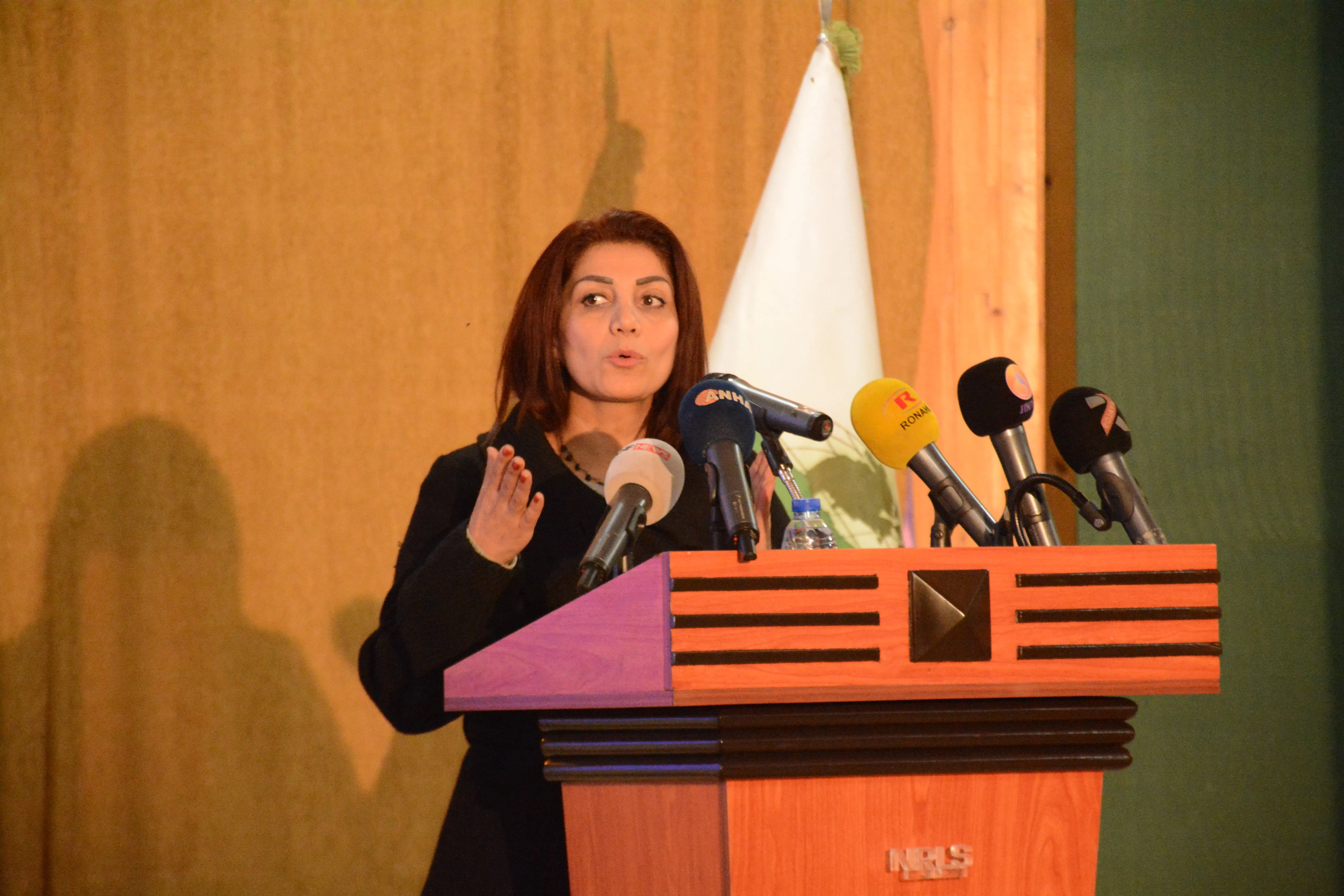Dr. in law offers recommendations to protect women from Turkish violations in Afrin