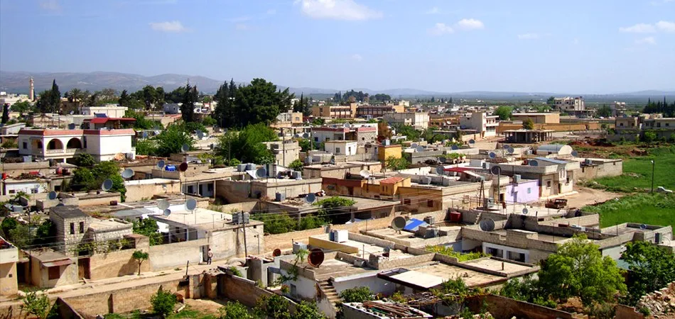 Looting antiquities of hill, 400 Olive tree uprooted in Afrin