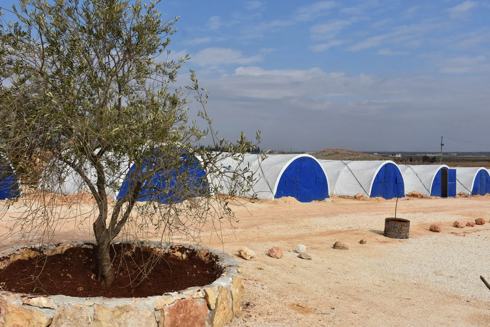 40 families join "Al-Awda" camp, preparations to provide more services