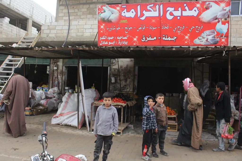 Normal life returned to al-Mansoura after security campaign