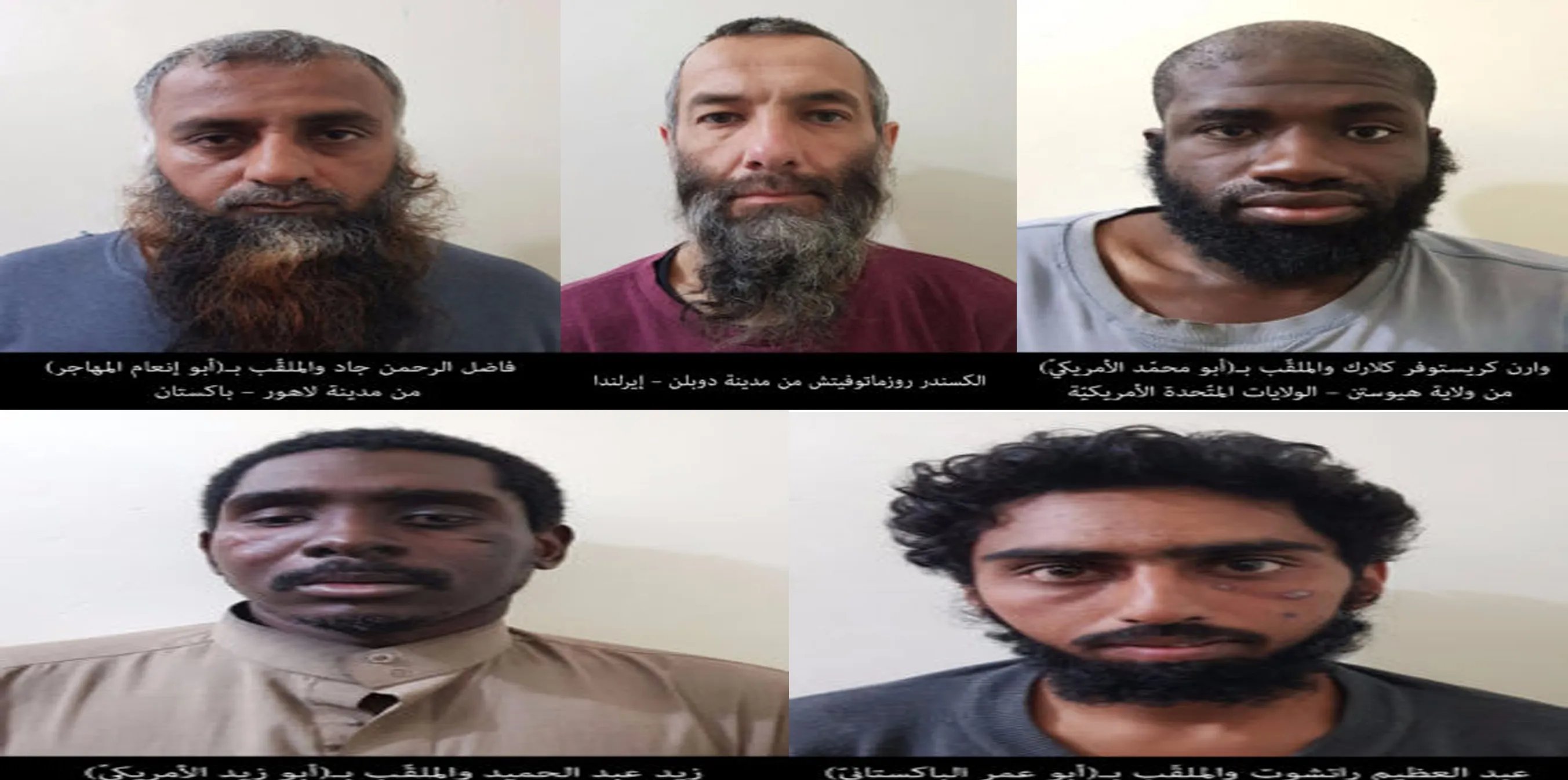 SDF: Five IS foreign elements arrested in Deir-ez-Zor