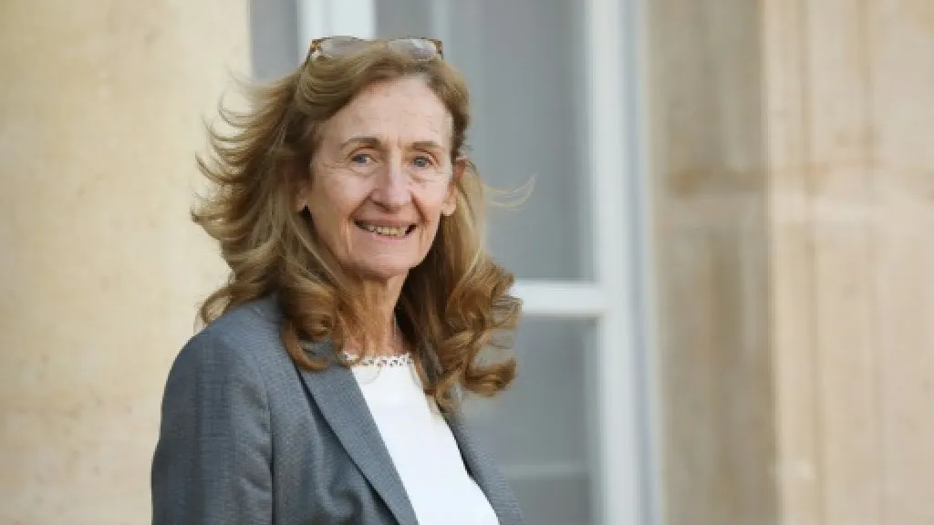 France considering French detainees' return to their country