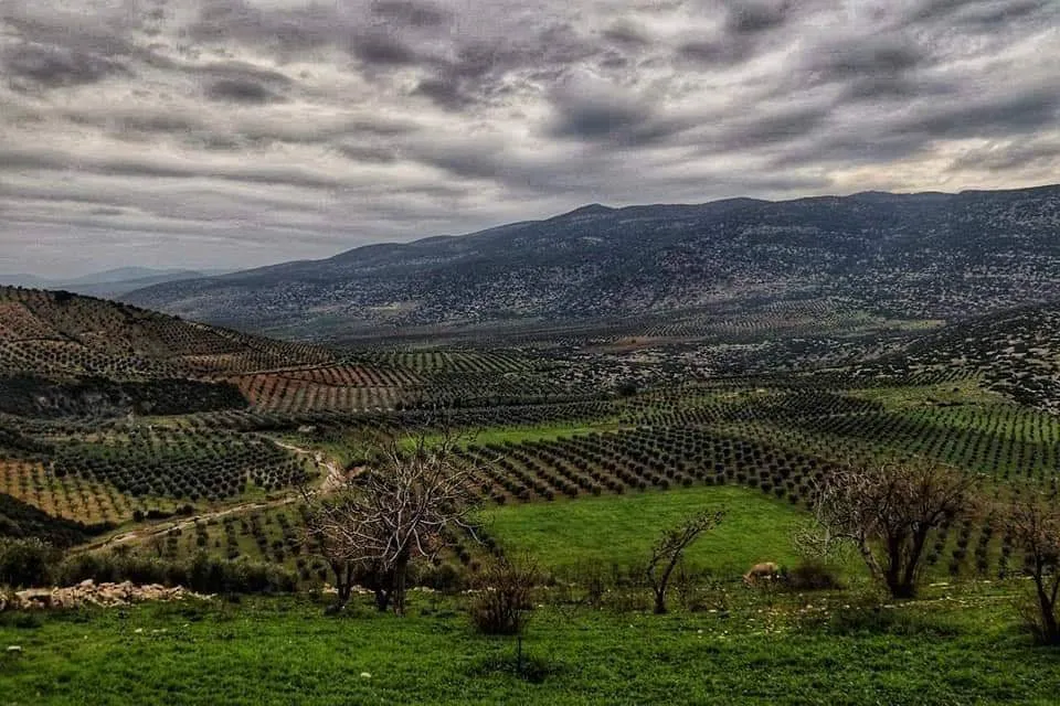 Turkey's mercenaries continue to commit crimes against civilians of Afrin