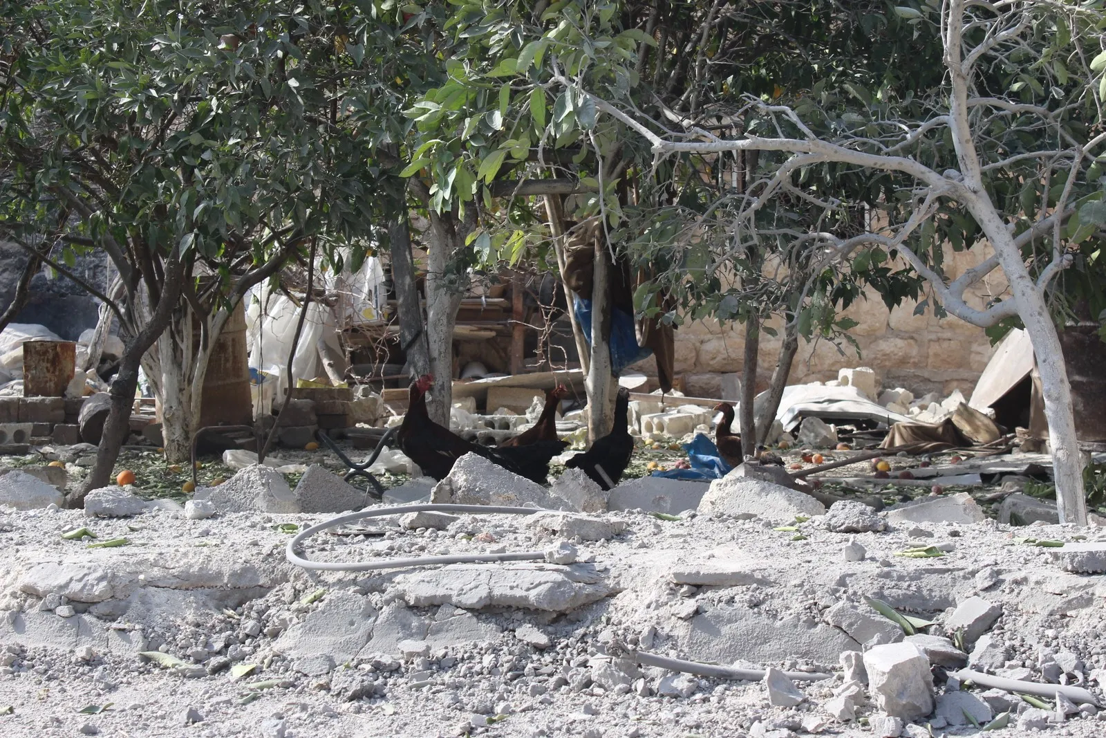 ‘Occupiers wanted to annihilate us, we confirmed resistance, foiled them’