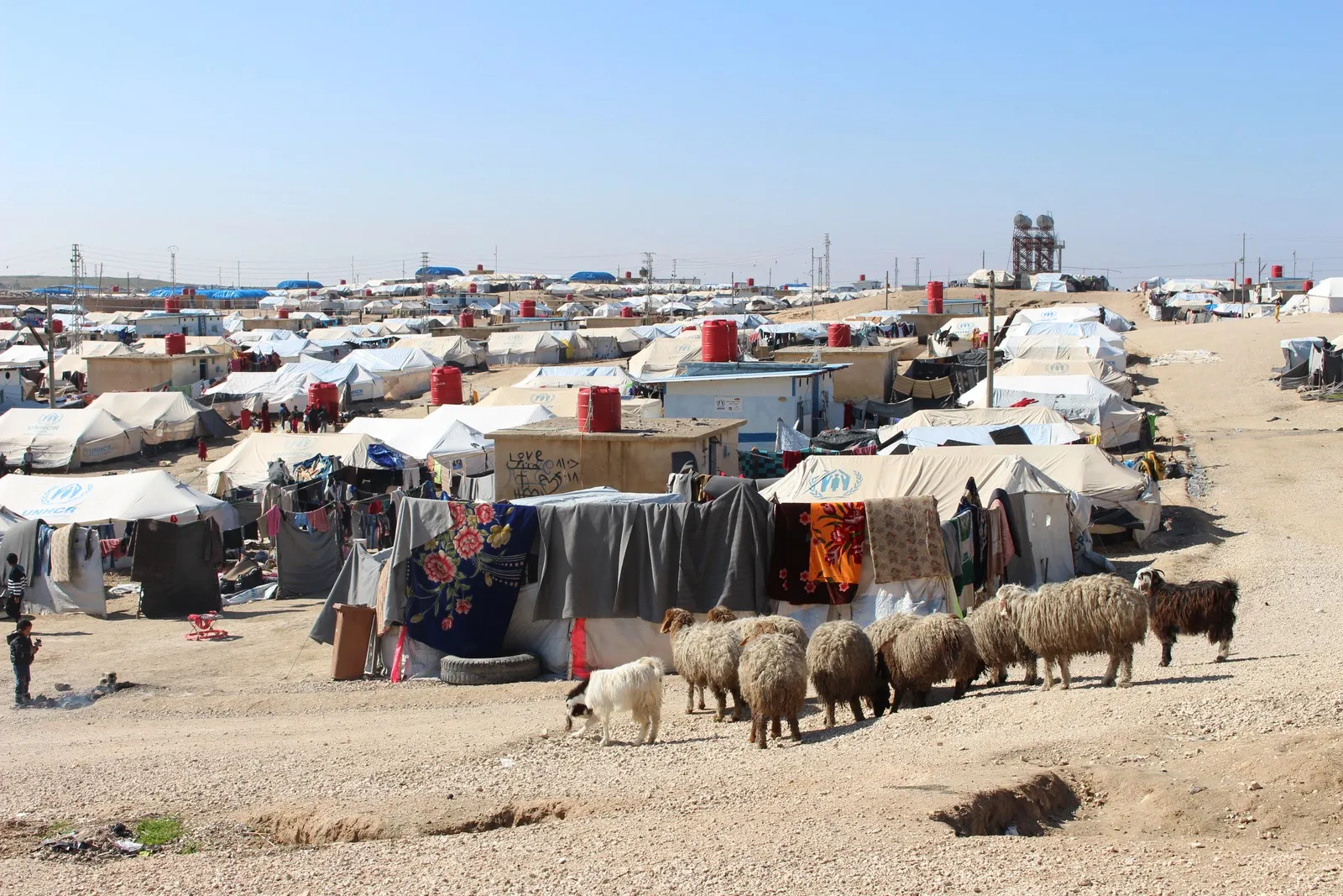 Iraqi refugee: We are happy in Rojava despite living in tents