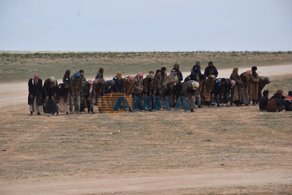 Number of IS mercenaries surrender to SDF in al-Bagouz village