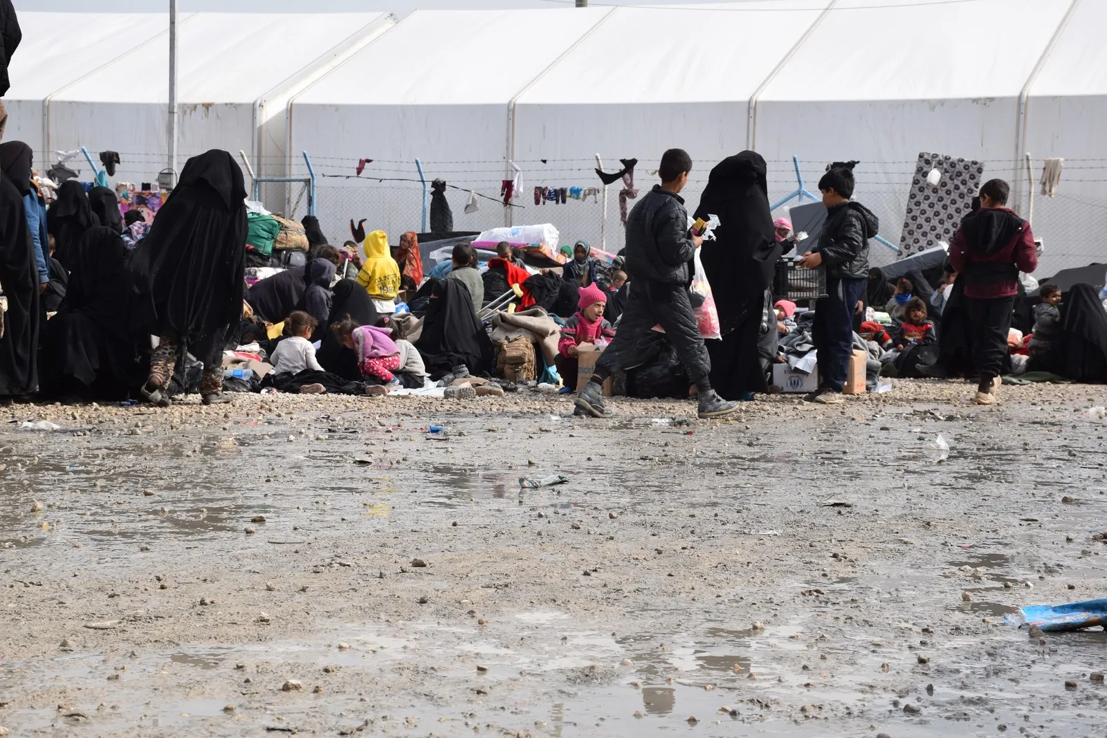 Refugees' number increasing, organizations neglects