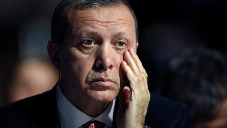 Erdogan admits to disagree with Washington on "buffer zone"